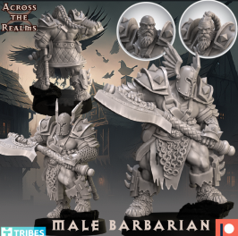 Male Barbarian