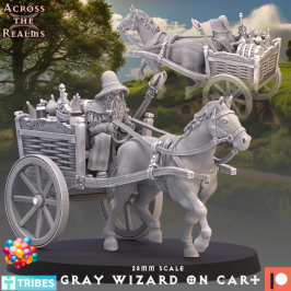 Grey Wizard On Cart