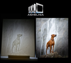 Lithophane Ashelnia3dprinting